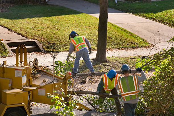 Landscape Design and Installation in Candlewick Lake, IL